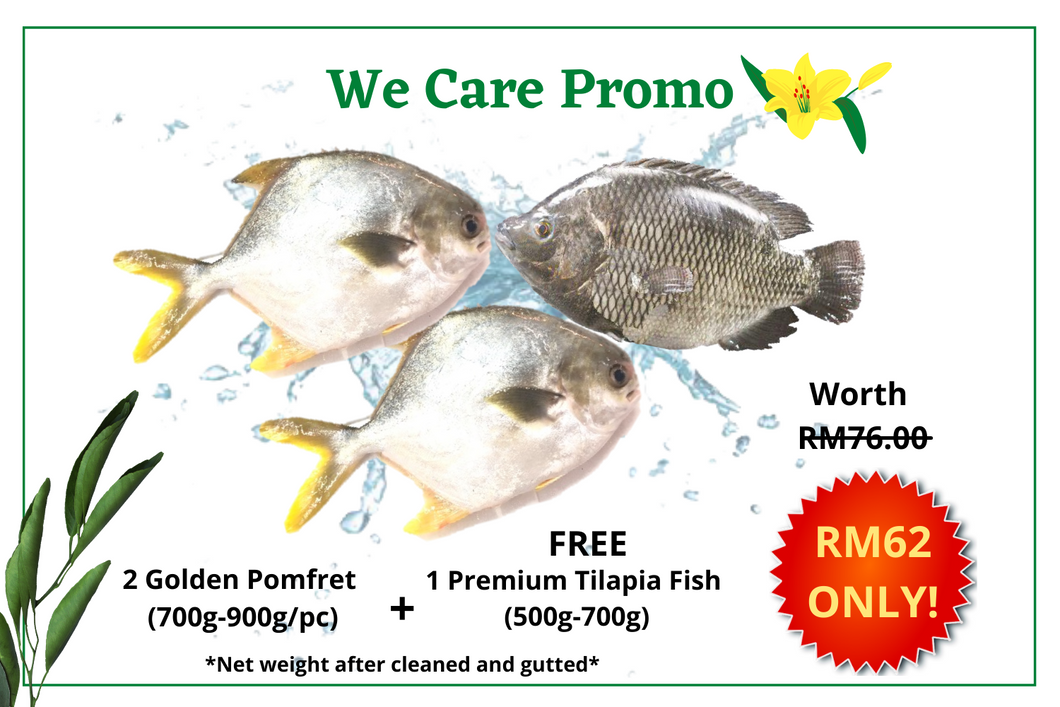 SET A -WE CARE PROMO