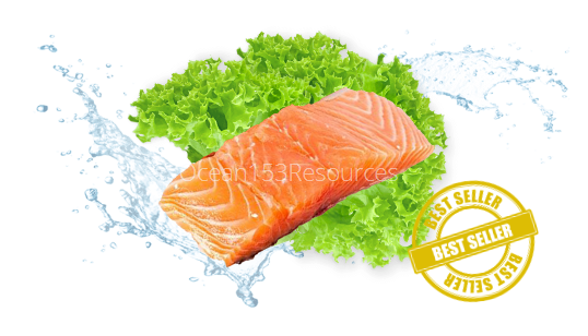 Atlantic Salmon Fillet