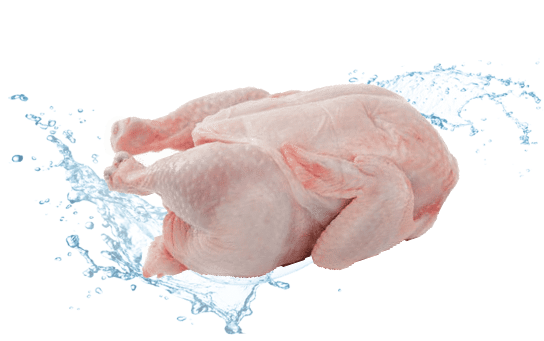 Premium Free Range Farm Whole Chicken