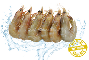 Sea Prawn/Udang Laut/海虾